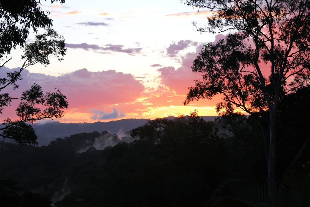 Phoenix Eumundi Bed & Breakfast Dış mekan fotoğraf