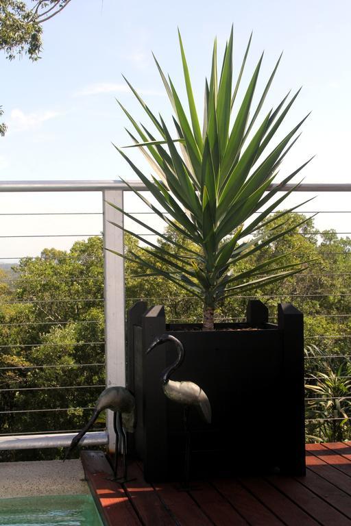 Phoenix Eumundi Bed & Breakfast Dış mekan fotoğraf
