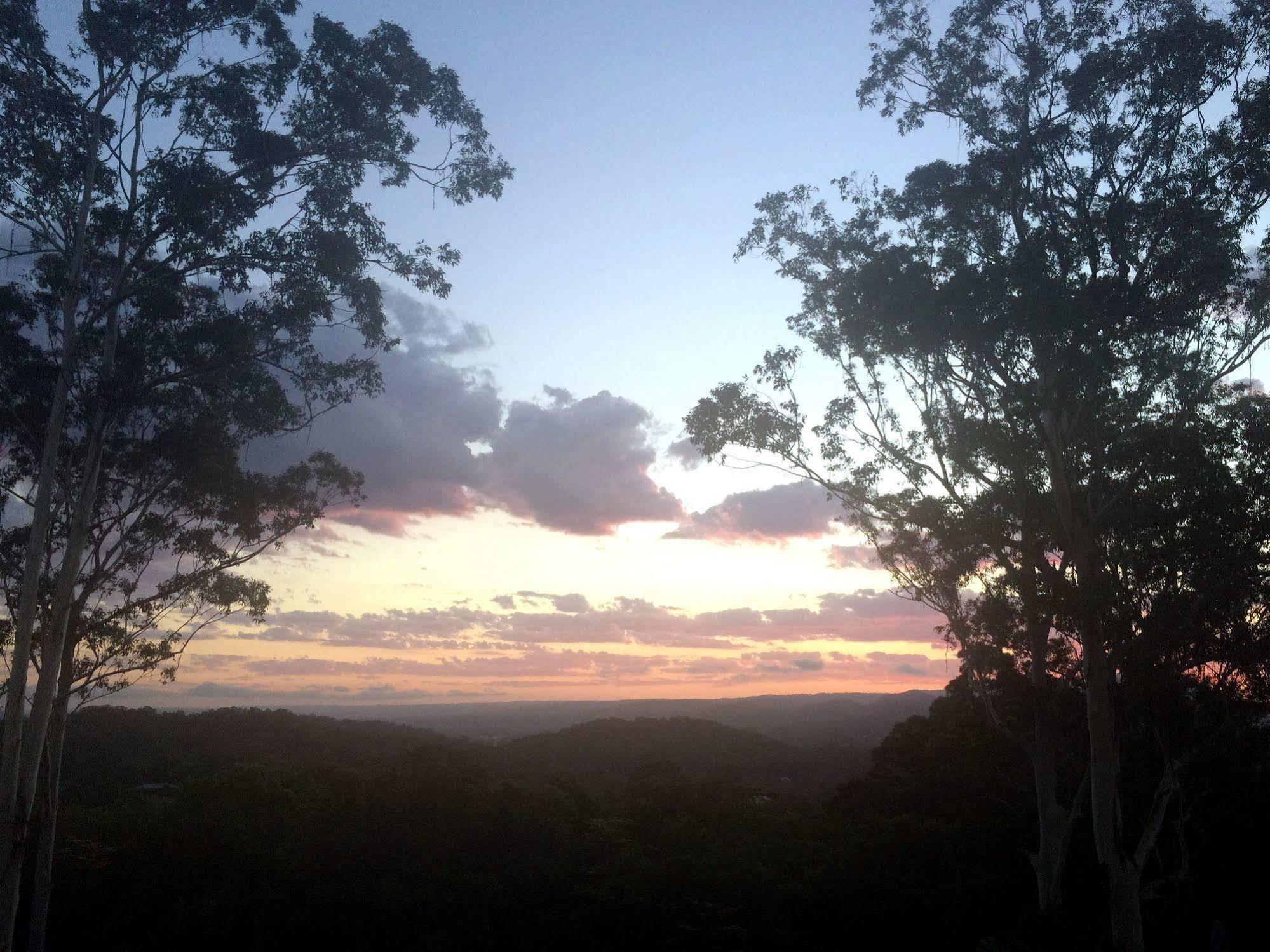 Phoenix Eumundi Bed & Breakfast Dış mekan fotoğraf