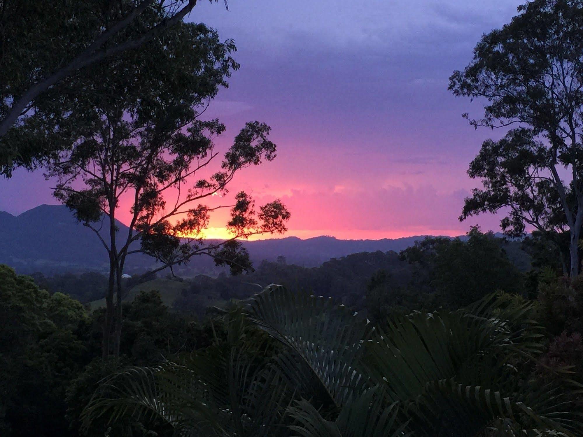 Phoenix Eumundi Bed & Breakfast Dış mekan fotoğraf